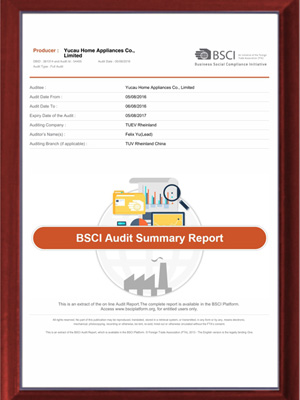 麻豆国产AV无码BSCI认证