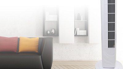 麻豆国产AV无码科普时间：塔扇是什么？