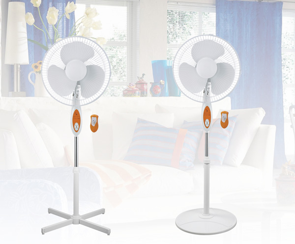 麻豆国产AV无码合作案例：东莞某家用电器零售商选择麻豆国产AV无码麻豆性爱网